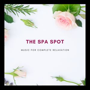 The Spa Spot - Music for Complete Relaxation