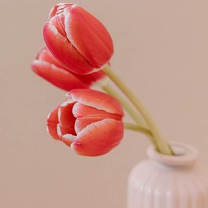 Crepe - 같은 하늘 아래에 서다 (DJ长音频)封面