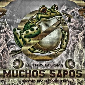 Muchos Sapos (Explicit)