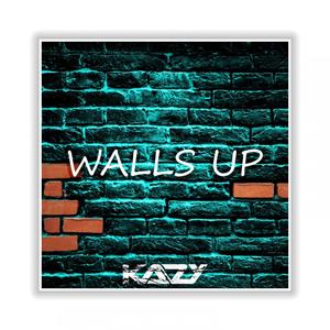 Walls Up (Radio Mix)