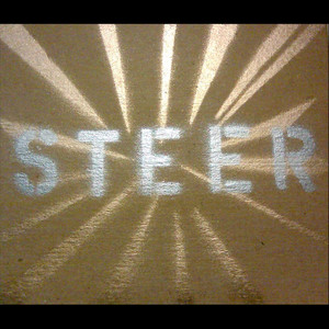 Steer