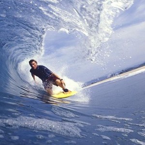 The Sun (元旦舞曲)