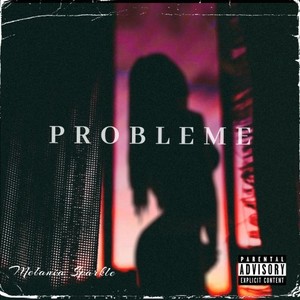 Problème (Explicit)