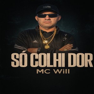 Só Colhi Dor