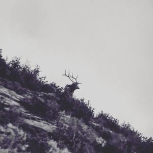 Loony T - Don't Worry Keep Grinding