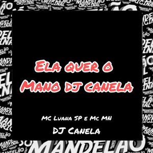 Ela Quer o Mano Dj Canela (Explicit)