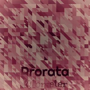 Prorata Kilometer