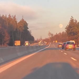 ich muss hier raus (Explicit)