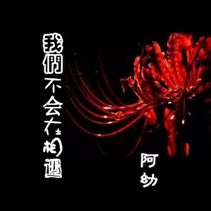 我们不会在相遇