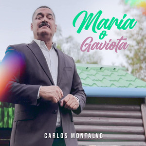 María o Gaviota