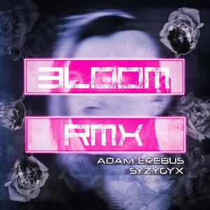 Bloom RMX