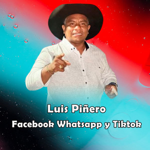 Facebook Whatsapp y Tiktok