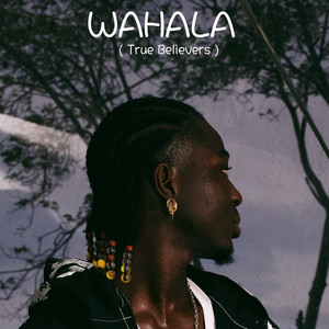 Wahala (True Believers)