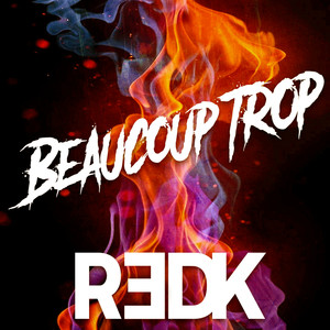 R.E.D.K. - Beaucoup trop (Explicit)