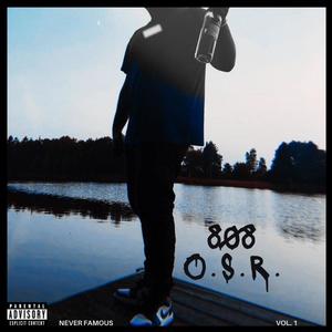 UAV CROSSING ONLINE (Explicit)