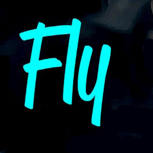 Fly - Single