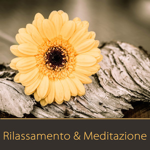 Rilassamento & Meditazione – Musica Rilassante per Yoga, Meditazione, Yoga Nidra, Esercizi di Respirazione e Pranayama, Musica Zen per Dormire