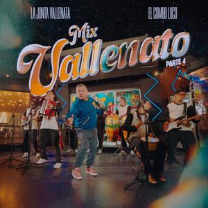 Mix Vallenato 4 (feat. El Combo Loco de Mike Rodriguez)