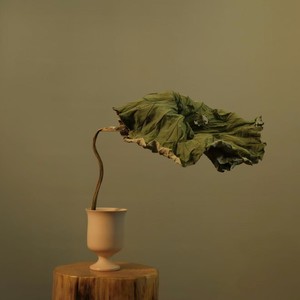 充电神曲（心脏五音疗愈）