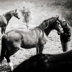 Cowboy Solitaire