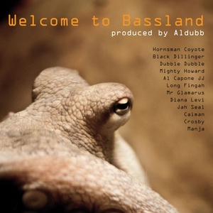 Welcome To Bassland