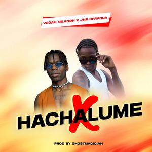 EX HAACHALUME (feat. Jnr Spragga)