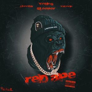 Red ape (feat. J.wood$ & Y-scorin)