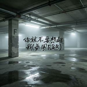 你就不要想起我(氛围R&B)
