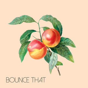 Bounce That