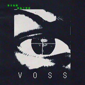 VOSS (Explicit)