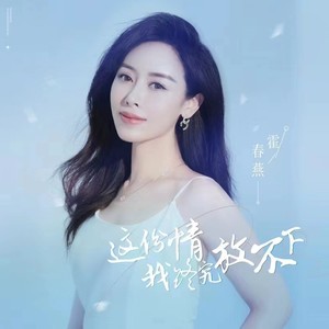 这份情我终究放不下 (DJ沈念版伴奏)