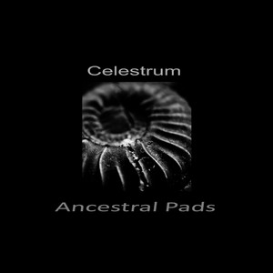 Ancestral Pads