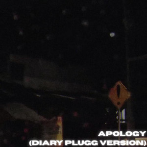 APOLOGY (Diary Plugg Version)