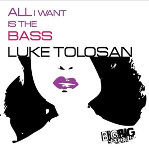 All I Want Is The Bass (Dub Mix)