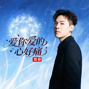 爱你爱的心好痛 (DJ版)