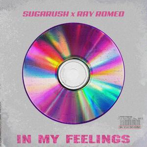 In My Feelings (feat. Ray Romeo)