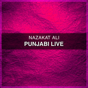 Punjabi (Live)