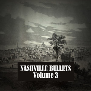 Nashville Bullets, Vol. 3