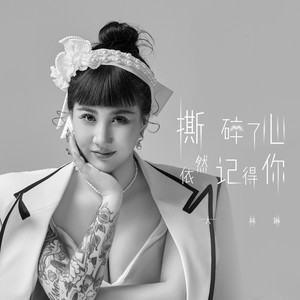 撕碎了心依然记得你 (DJ波比版伴奏)