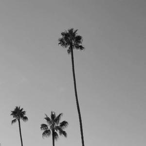 2Pac-Little Do You Know (NodaMixMusic Mashup|航 remix)