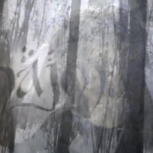 dando mole na antarctica