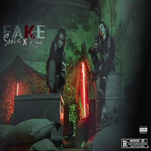 Fake (feat. Rehab)