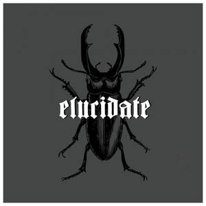 Elucidate