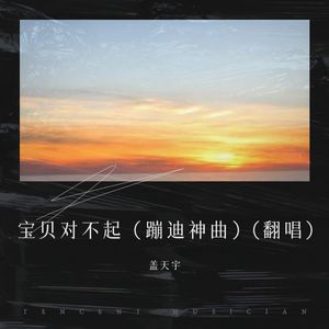 宝贝对不起-盖天宇