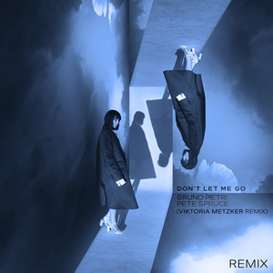 Don't Let Me Go (Viktoria Metzker Remix)