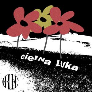 dancefloor! (feat. gapex) (Explicit)