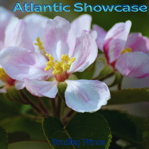 Atlantic Showcase