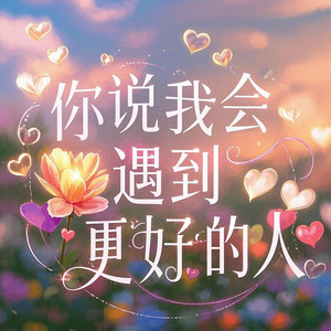 你说我会遇到更好的人 (惆怅男声版)