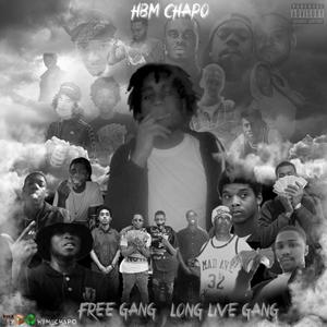 Free Gang Long Live Gang (Explicit)