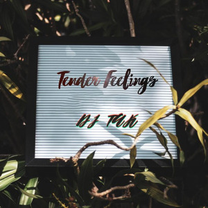 Tender Feelings (DJ TAK)